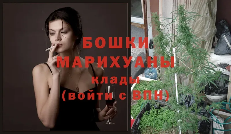 ОМГ ОМГ ССЫЛКА  где купить наркоту  Гусиноозёрск  МАРИХУАНА White Widow 